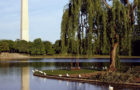 Washington Monument from Constitution Gardens. (Carol M. Highsmith/Library of Congress)