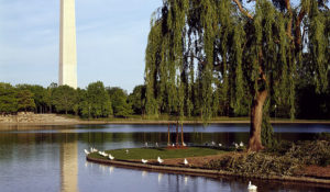 Washington Monument from Constitution Gardens. (Carol M. Highsmith/Library of Congress)