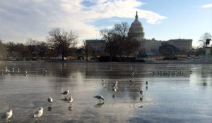 Frozen Capitol Reflecting Pool (Architect of the Capitol)