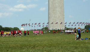 Sports on the National Mall. (Courtesy Lisa Benton-Short)