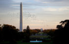 The Washington Monument and Jefferson Memorial are seen at dusk behind the the South Lawn Fountain of the White House, Oct. 22, 2009. (Official White House Photo by Lawrence Jackson)