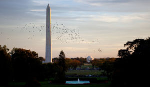 The Washington Monument and Jefferson Memorial are seen at dusk behind the the South Lawn Fountain of the White House, Oct. 22, 2009. (Official White House Photo by Lawrence Jackson)