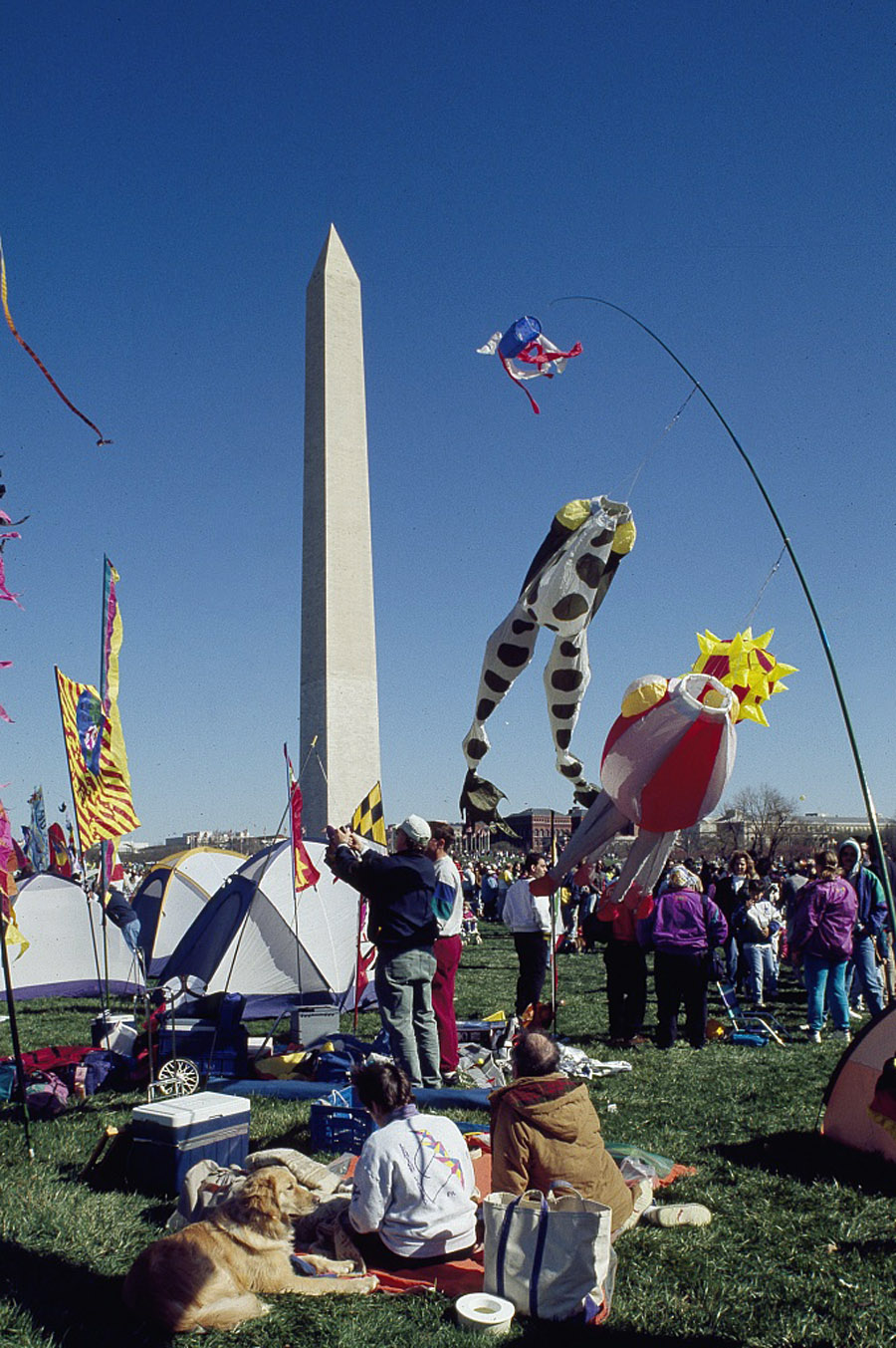 The National Kite Festival continues to draw children of all ages each spring (Photo courtesy Carol Highsmith/Library of Congress)