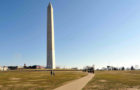 Spotty grass at the Washington Monument (Photo courtesy David Luria)