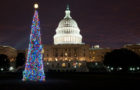 The Christmas Tree on the West Front Lawn of the U.S. Capitol will be lit from night fall until 11 p.m. each evening through January 1, 2012. This year's tree is a 65-foot Sierra white fir from California’s Stanislaus National Forest. (Architect of the Capitol)