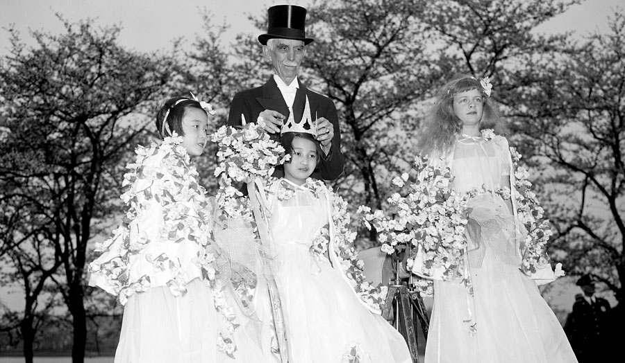 Crowned Queen of Cherry Blossoms. Washington, D.C., April 8, 1937. (Courtesy Library of Congress)