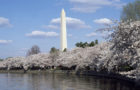Washington Monument, seen from the Potomac Tidal Basin at Spring cherry blossom time, Washington, D.C. (Courtesy Carol M. Highsmith Archive, Library of Congress)