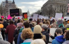 The crowd at the National Mall taking part in the March for Our Lives (Photograph by Thomas F. King)