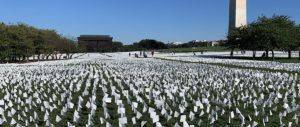 Artist Suzanne Brennan Firsten's National Mall installation "In America: Remember," memorializes the number of Americans lost to COVID-19. (Photo by Ellen Goldstein)