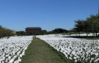 Artist Suzanne Brennan Firsten's National Mall installation "In America: Remember," memorializes the number of Americans lost to COVID-19. (Photo by Ellen Goldstein)