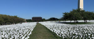 Artist Suzanne Brennan Firsten's National Mall installation "In America: Remember," memorializes the number of Americans lost to COVID-19. (Photo by Ellen Goldstein)